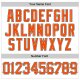 Men's Custom White Orange Pinstripe Orange-Black Authentic Baseball Jersey